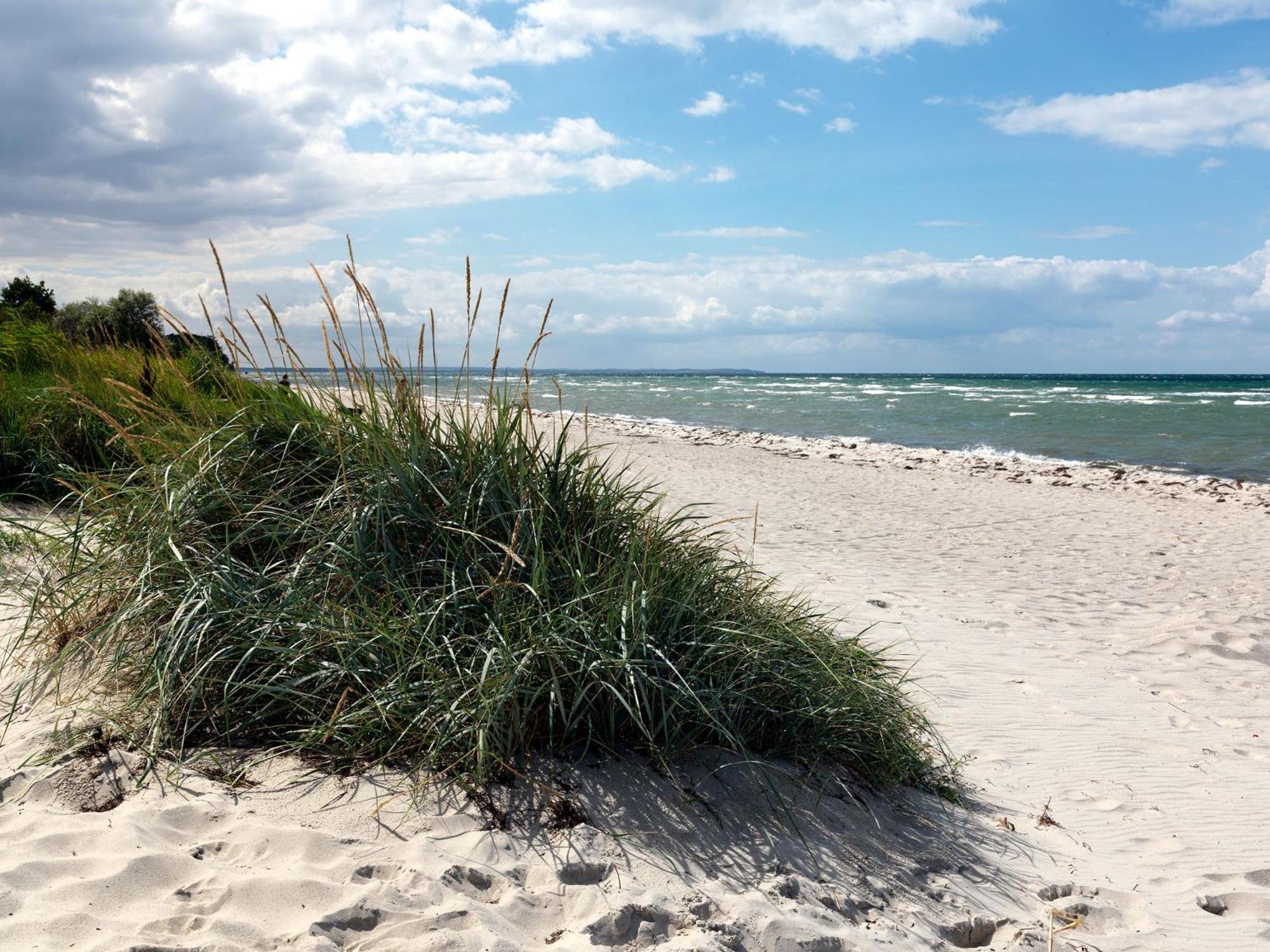 Appartements Am Reiterhof Seepferdchen Timmendorfer Strand Zewnętrze zdjęcie
